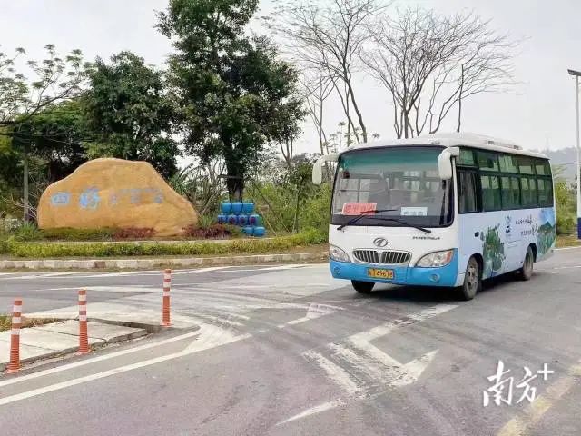 恩平開通旅游觀光巴士,全力構(gòu)建全域互聯(lián)互通的旅游交通服務(wù)體系。恩平市委宣傳部供圖 圖片